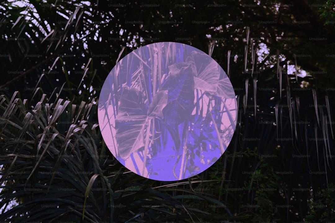 大寒时节，怎么温补脾肾？中医怎么防治类风湿？